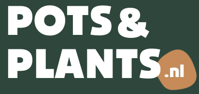 Plant N Pots Logo